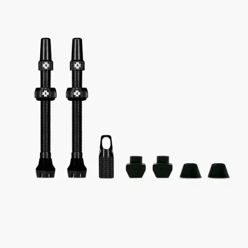 Kit de válvulas tubeless V2 (par)